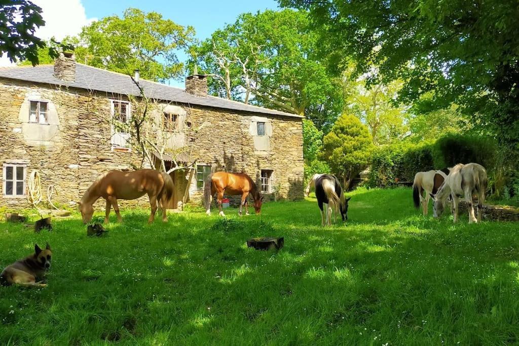 Granja Labrada: Alojamiento Con Caballos Manon 외부 사진