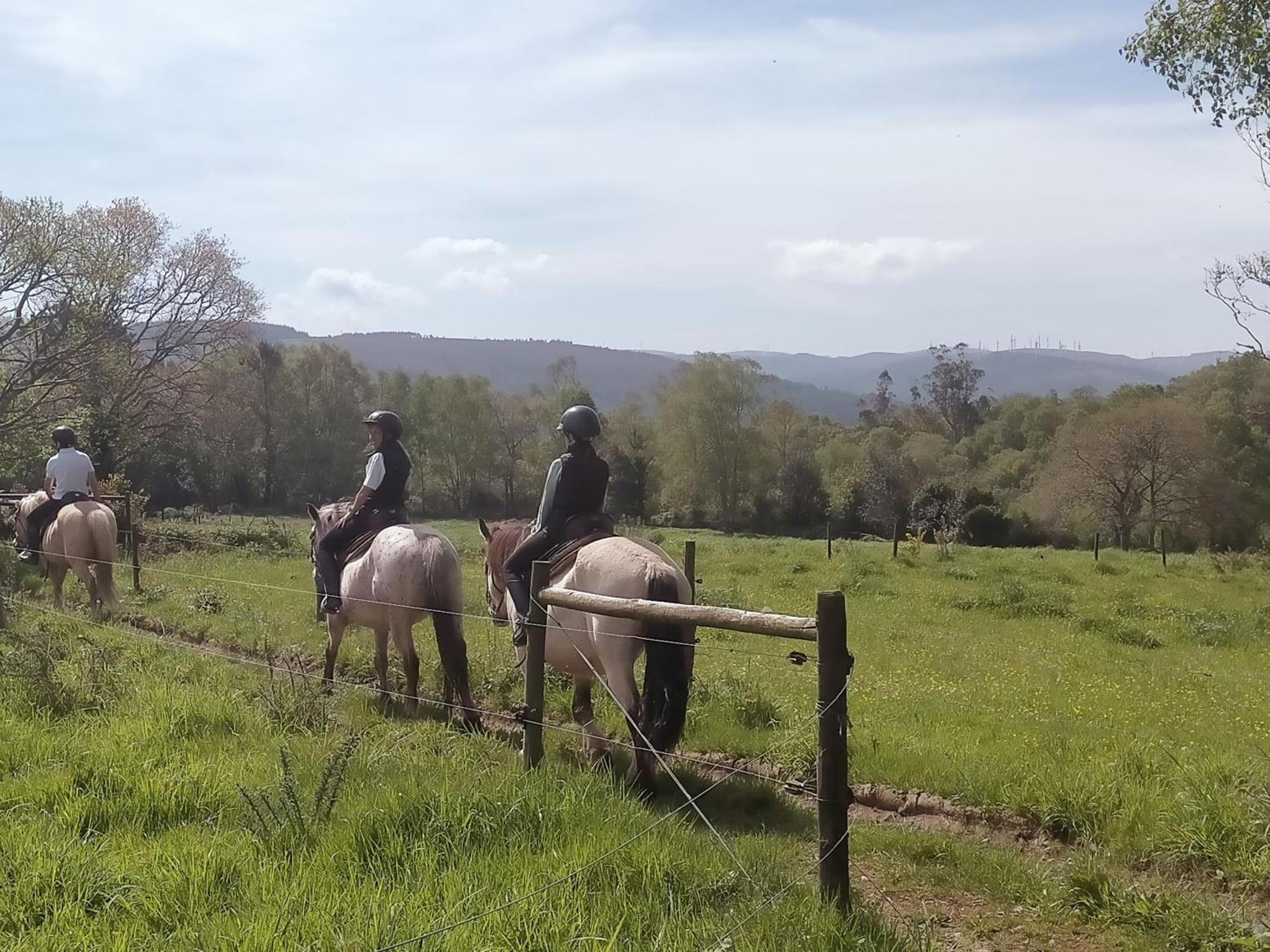 Granja Labrada: Alojamiento Con Caballos Manon 외부 사진
