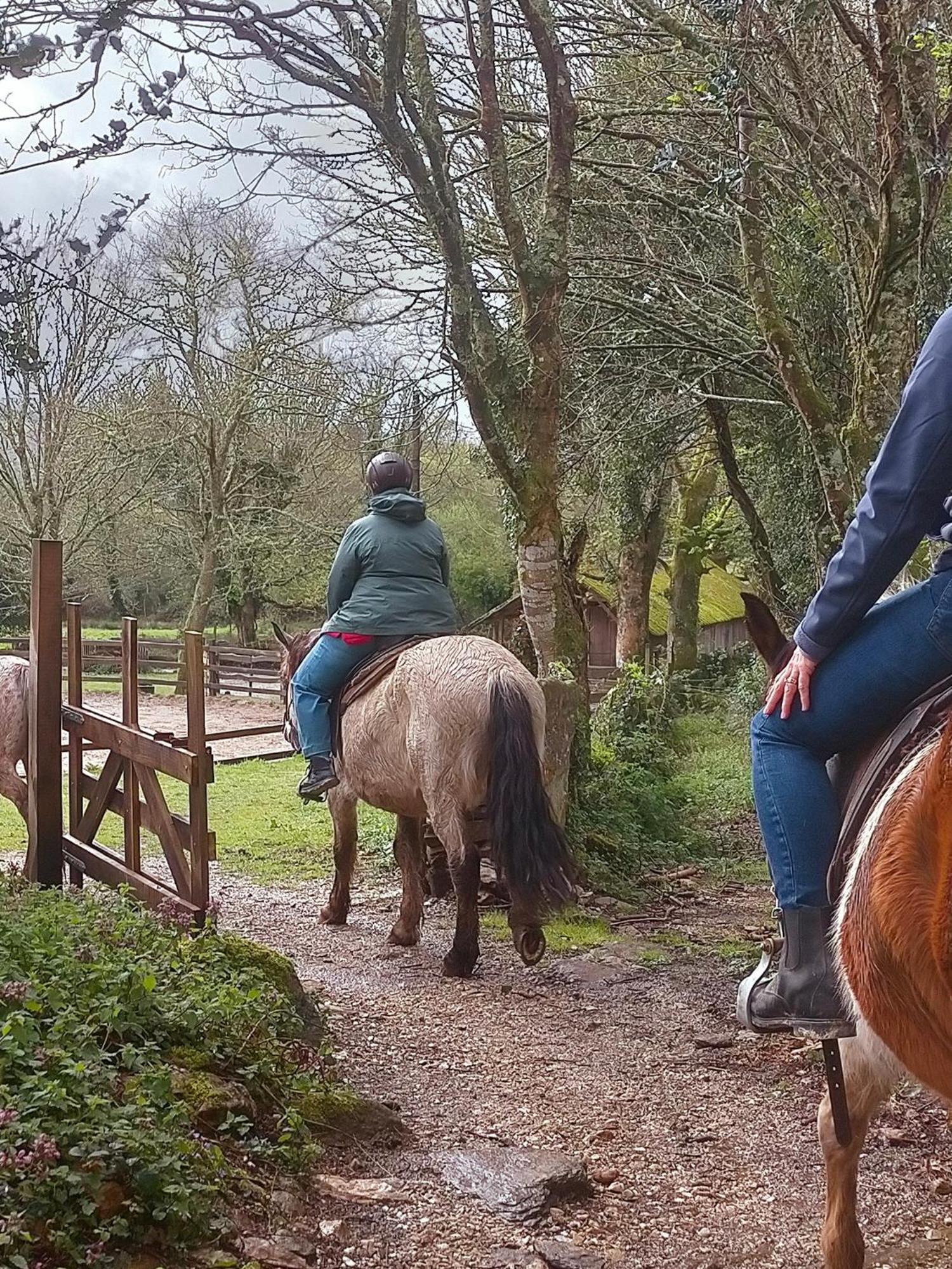 Granja Labrada: Alojamiento Con Caballos Manon 외부 사진